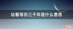 站着等你三千年是什么意思