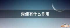 粪便有什么作用