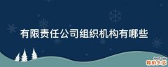 有限责任公司组织机构有哪些