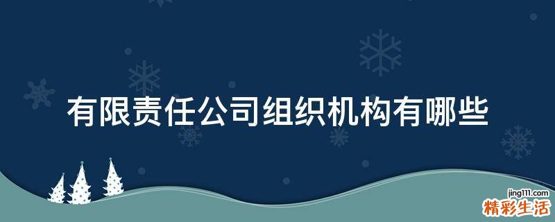 有限责任公司组织机构有哪些