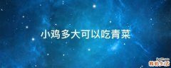 小鸡多大可以吃青菜