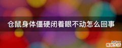 仓鼠身体僵硬闭着眼不动怎么回事