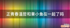 正青春温哲和章小鱼在一起了吗