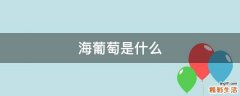 海葡萄是什么