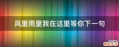 风里雨里我在这里等你下一句
