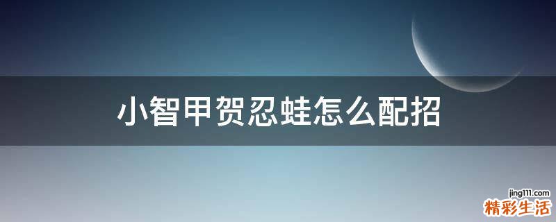小智甲贺忍蛙怎么配招