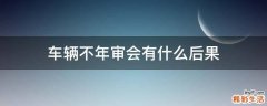 车辆不年审会有什么后果