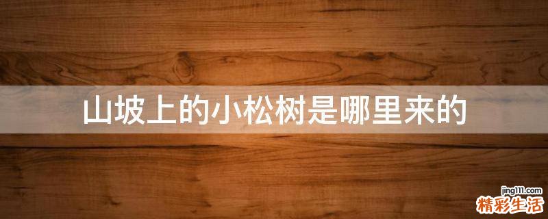 山坡上的小松树是哪里来的