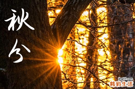 2023年秋分的时间 2023年秋分是什么时候