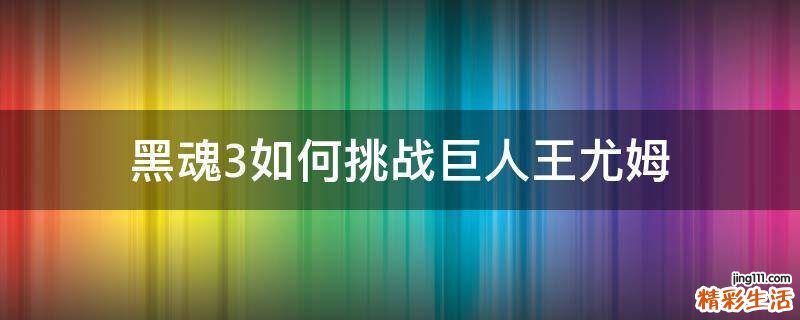 黑魂3如何挑战巨人王尤姆