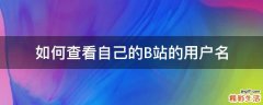 如何查看自己的B站的用户名