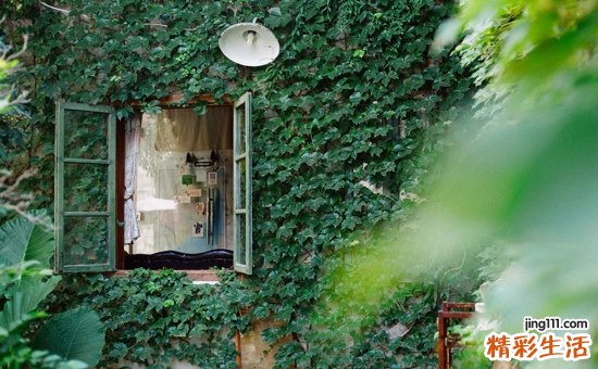 过敏性紫癜辨证思维