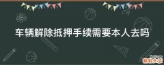 车辆解除抵押手续需要本人去吗