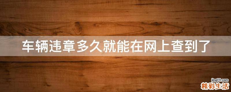 车辆违章多久就能在网上查到了
