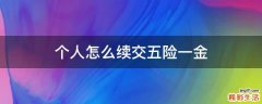 个人怎么续交五险一金