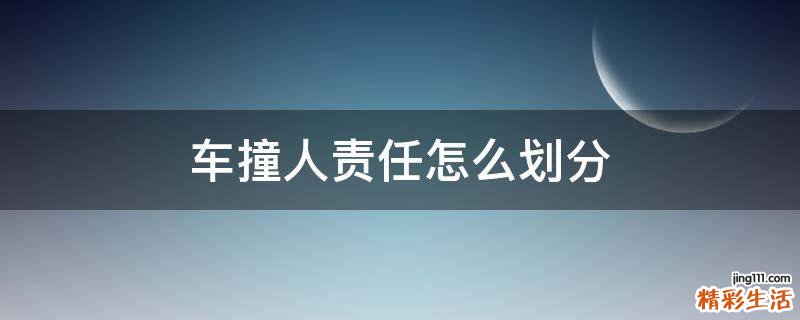 车撞人责任怎么划分
