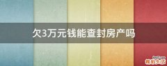欠3万元钱能查封房产吗