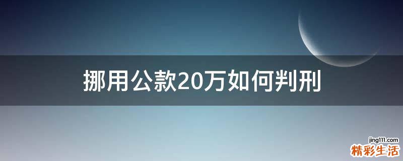 挪用公款20万如何判刑