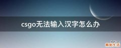 csgo无法输入汉字怎么办
