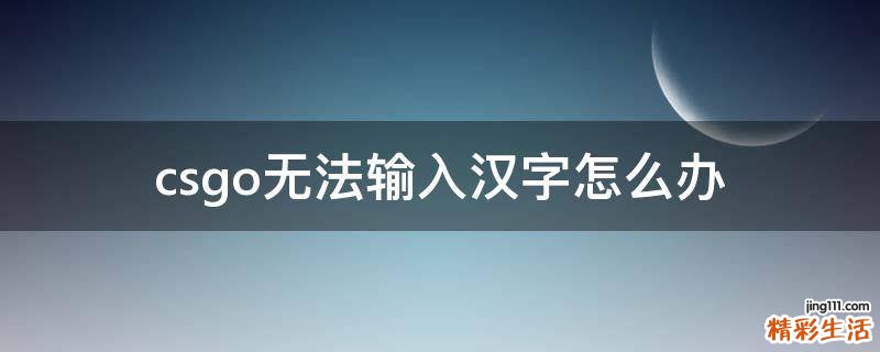 csgo无法输入汉字怎么办