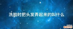 洗脸时把头发弄起来的叫什么