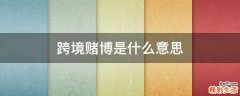 跨境赌博是什么意思