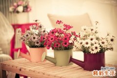 肾病综合征辨证论治标证