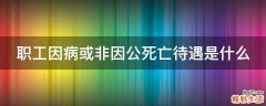 职工因病或非因公死亡待遇是什么