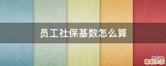 员工社保基数怎么算