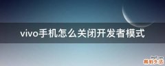 vivo手机怎么关闭开发者模式