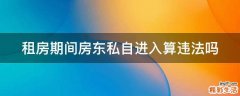 租房期间房东私自进入算违法吗