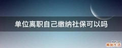 单位离职自己缴纳社保可以吗