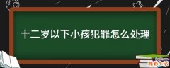 十二岁以下小孩犯罪怎么处理