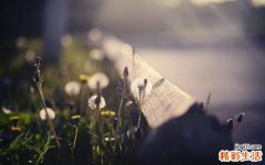 简单两招 搞定鼻出血