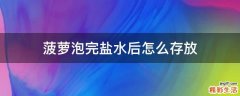 菠萝泡完盐水后怎么存放