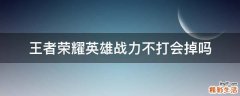 王者荣耀英雄战力不打会掉吗