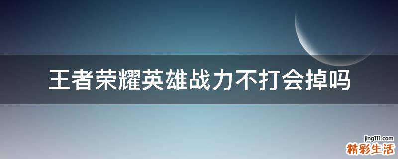 王者荣耀英雄战力不打会掉吗