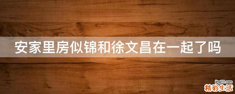 安家里房似锦和徐文昌在一起了吗