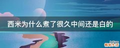 西米为什么煮了很久中间还是白的