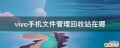 vivo手机文件管理回收站在哪