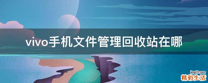 vivo手机文件管理回收站在哪