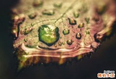 【美白的误区有哪些】皮肤永远白不起来
