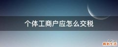 个体工商户应怎么交税