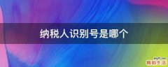 纳税人识别号是哪个