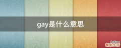gay是什么意思