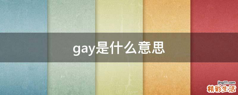 gay是什么意思