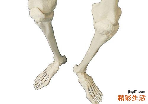 长高是哪块骨头发育