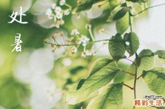 处暑为什么在立秋后面 处暑和立秋的区别