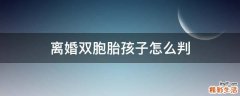 离婚双胞胎孩子怎么判