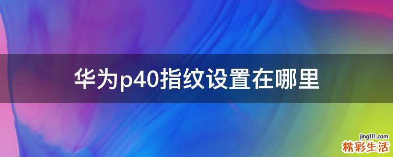 华为p40指纹设置在哪里